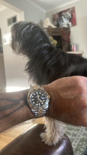 Superclone Rolex GMT-Master II 40 mm Black Dial “Zombie” 126713GRNR photo review